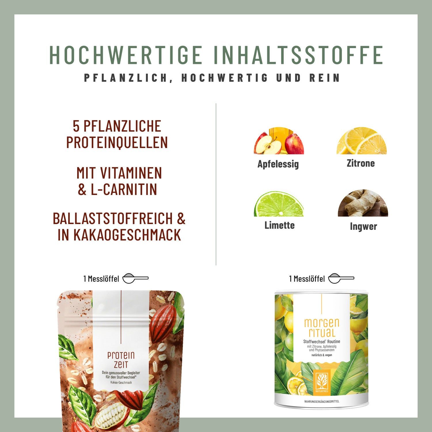 Infografik mit Zutaten: Apfelessig, Zitrone, Limette, Ingwer. Text: 5 pflanzliche Proteinquellen, mit Vitaminen & L-Carnitin, ballaststoffreich.