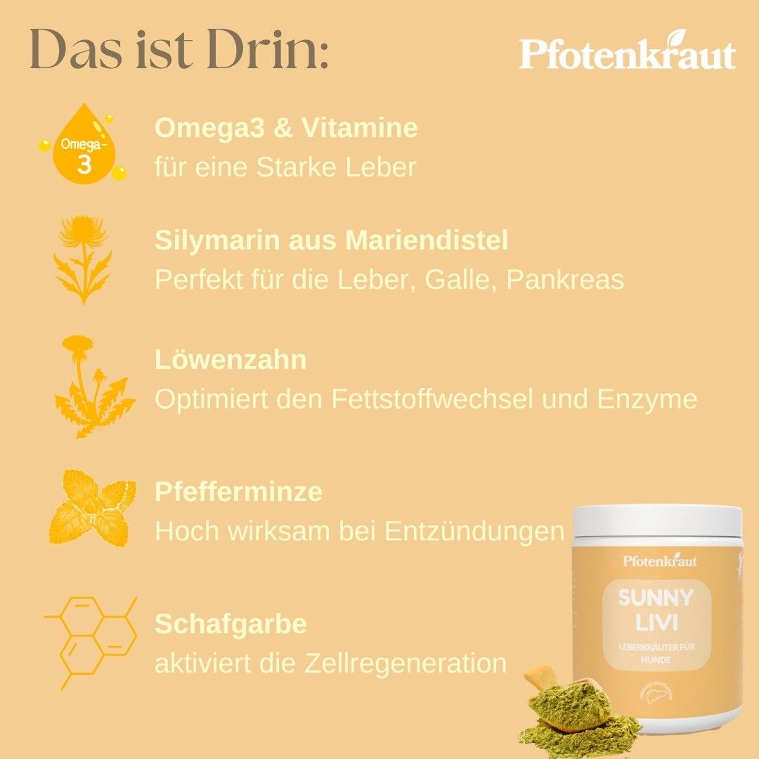 Pfotenkraut Leber Kräuter SUNNY LIVI