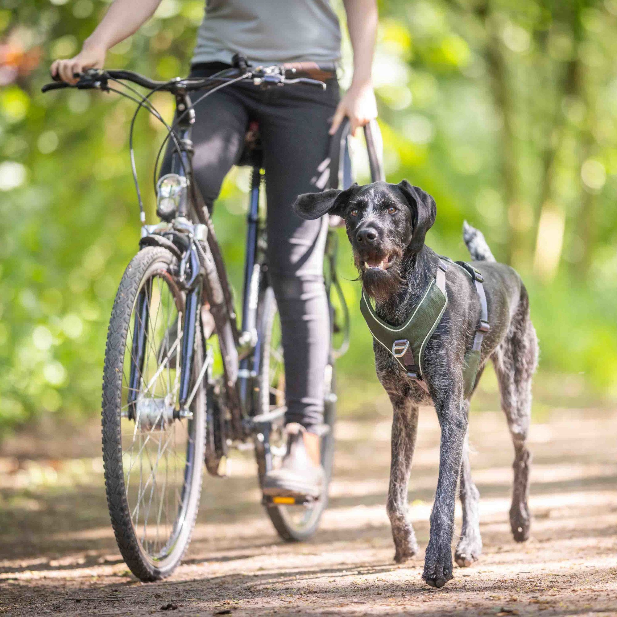 Wolters Active Pro Comfort Hundegeschirr