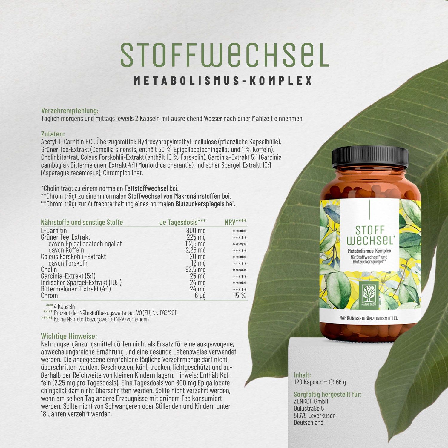 Stoffwechsel mit L-Carnitin und grünem Tee-Extrakt - NATURTREU®