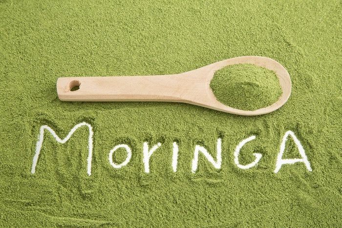 buXtrade Bio Moringa Blattpluver