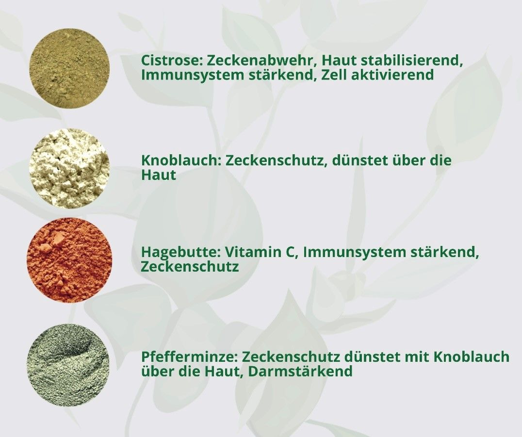 Hand aufs Pferd/Hund Floh & Zecken Kräuter Kribbelfrei