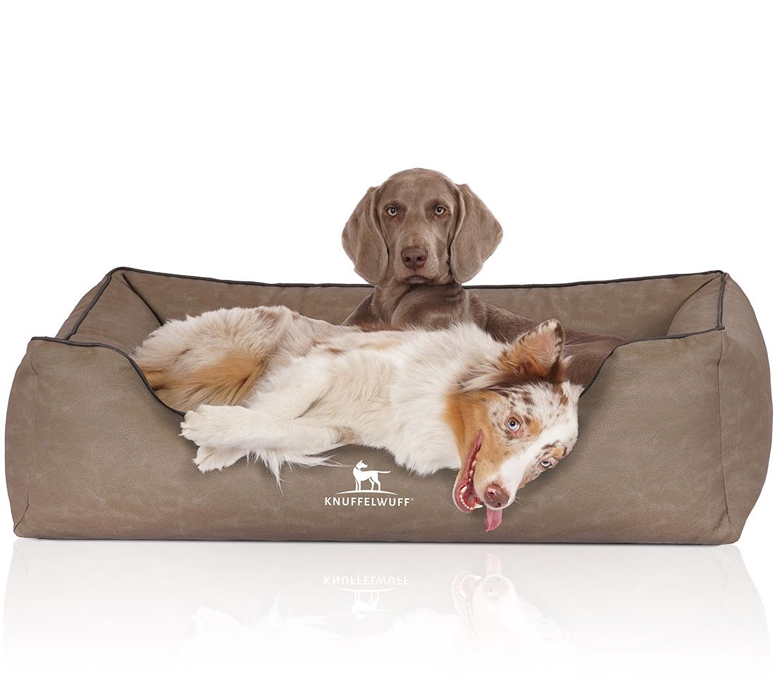 Hundebett Rockland, braun, mit zwei Hunden. Ein Hund liegt, einer sitzt. Logo Knuffelwuff. Rechteckige Form mit erhöhten Seiten.