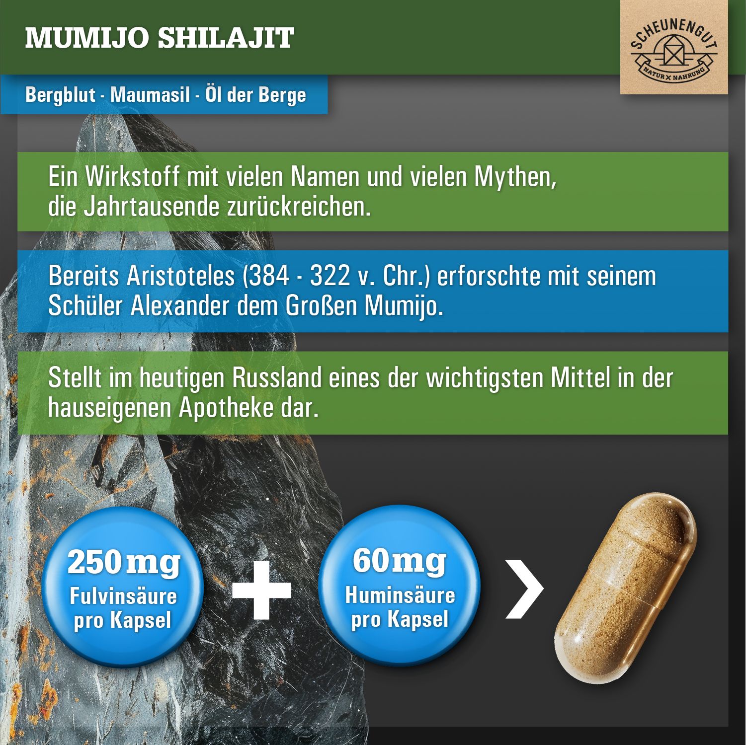 Infografik mit Text über Mumijo Shilajit. Enthält Informationen über Herkunft, Inhaltsstoffe und eine Kapsel.