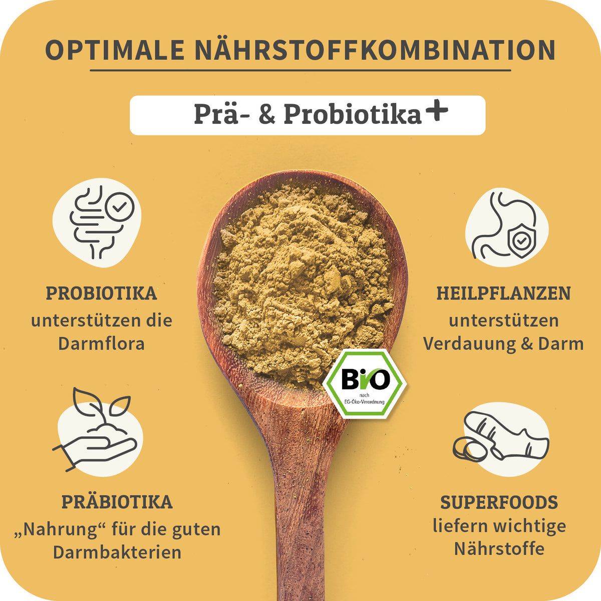 Holzlöffel mit braunem Pulver. Text: Prä- & Probiotika+. Icons: Probiotika, Heilpflanzen, Präbiotika, Superfoods. Bio-Siegel.
