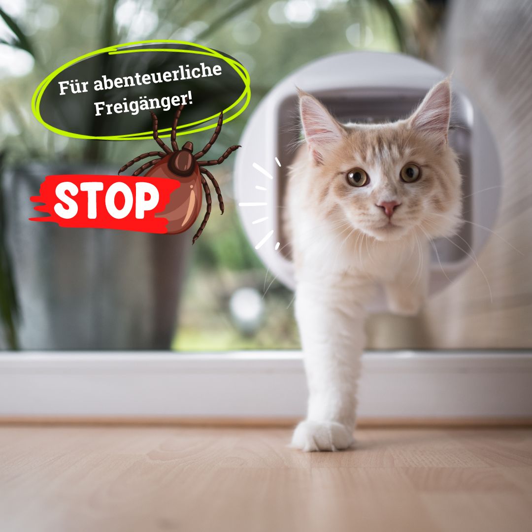 BeG Fellow Zecke weg, pflanzliches Zeckenmittel für Katzen, Zeckenschutz