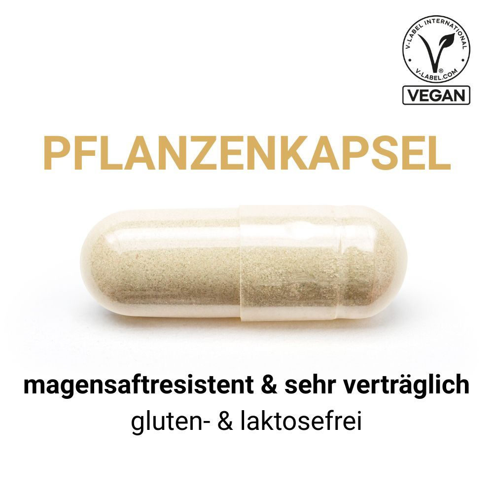 Pflanzenkapsel. Magensaftresistent, sehr verträglich, gluten- und laktosefrei. Vegan-Logo.