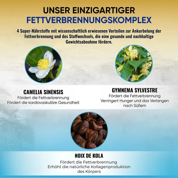 NutriSolution HepaLiv (Original)