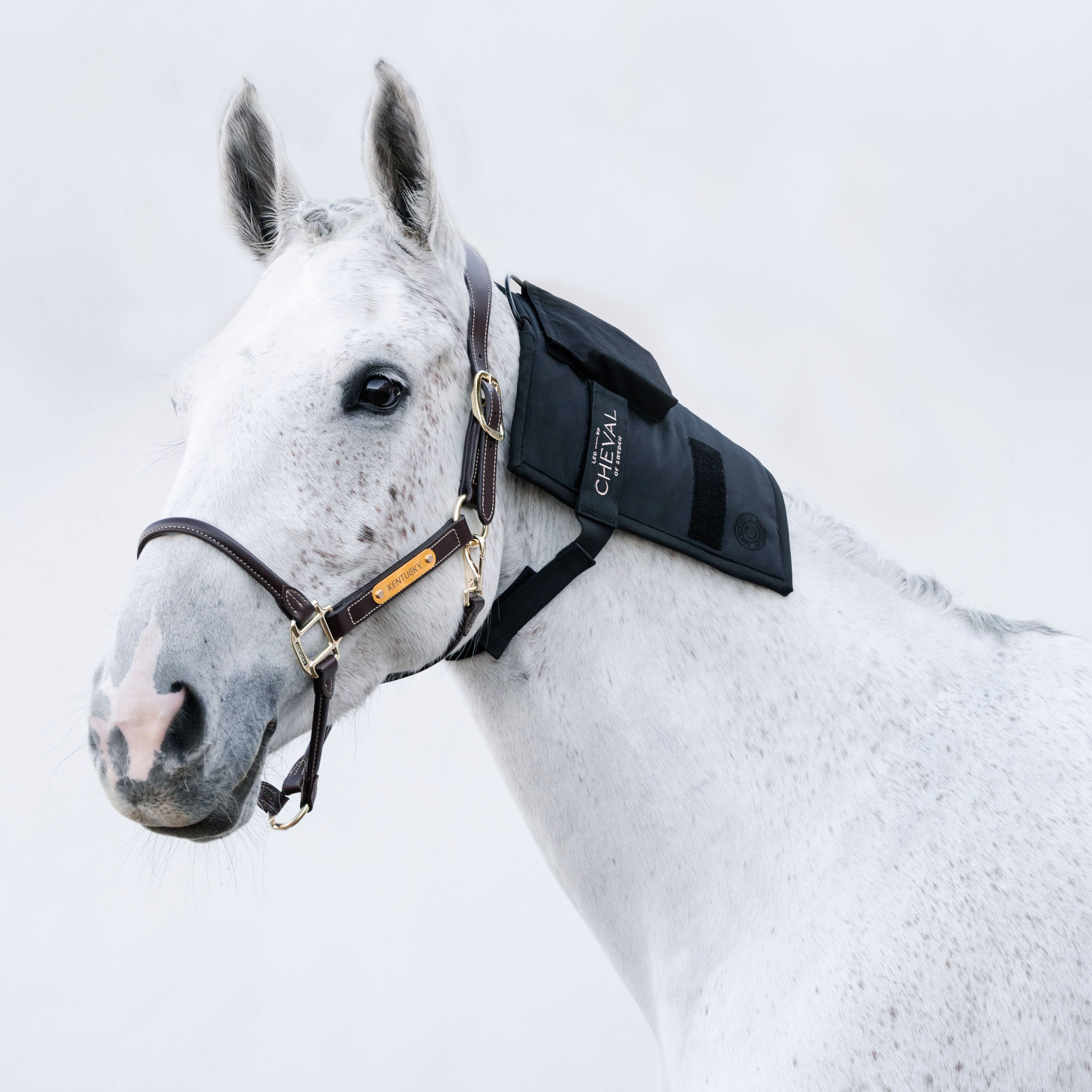 Cheval LED Wrap72