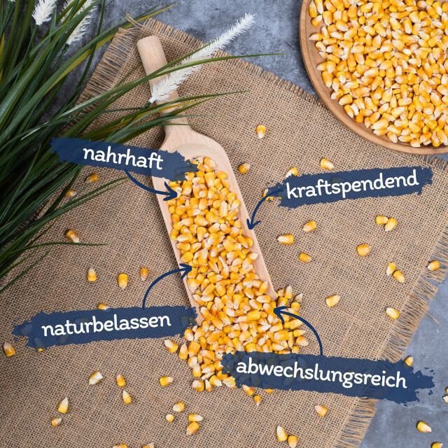 Maiskörner auf Holzschaufel und in Schale. Beschriftungen: nahrhaft, kraftspendend, naturbelassen, abwechslungsreich.