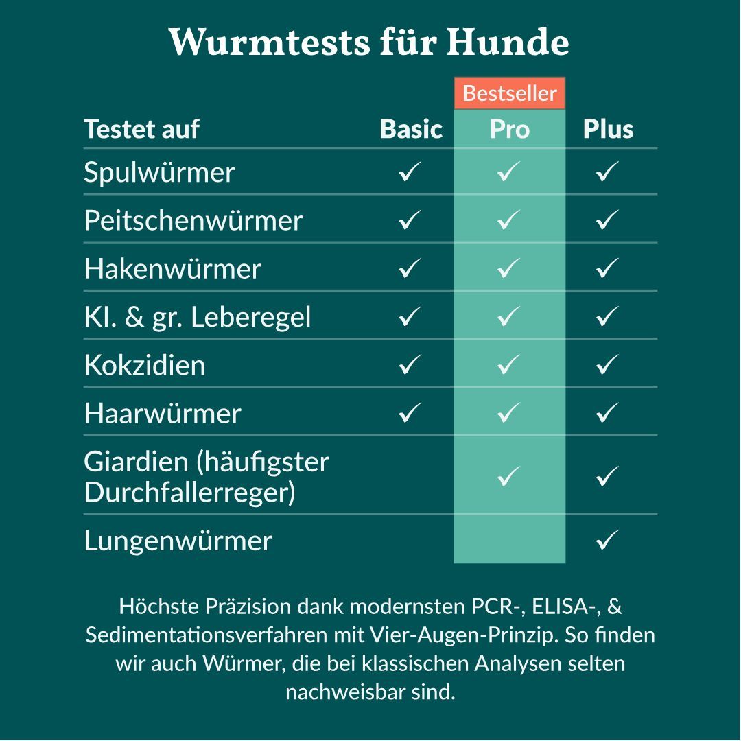 Vergleichstabelle der Wurmtests Basic, Pro und Plus für Hunde, die verschiedene Parasiten auflistet.