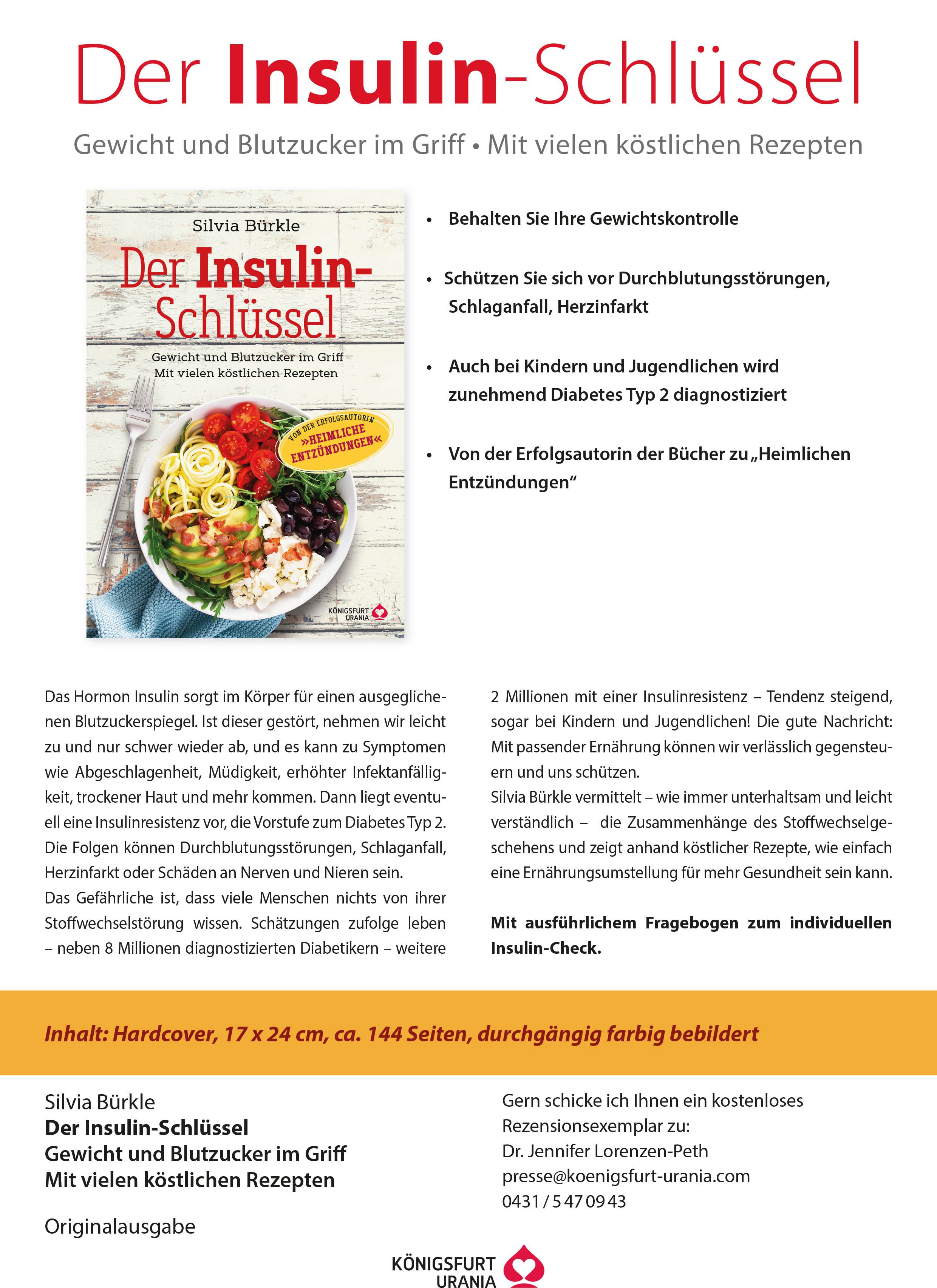 Buch: "Der Insulin-Schlüssel". Autorin: Silvia Bürkle. Hardcover, 17x24 cm, 144 Seiten. Text und Abbildung des Buchcovers.