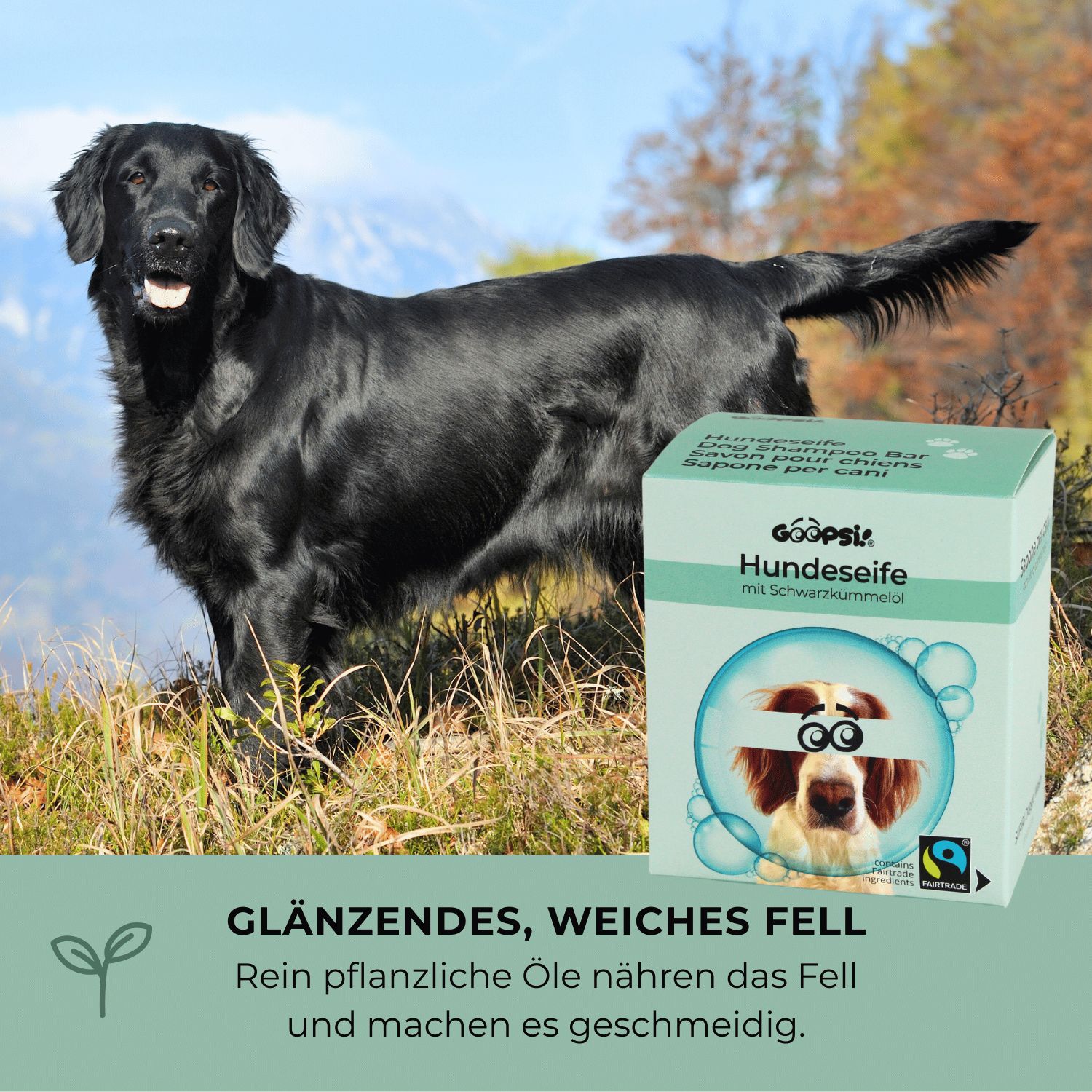 Schwarzer Hund steht neben einer Packung Hundeseife mit schwarzem Schlamm.