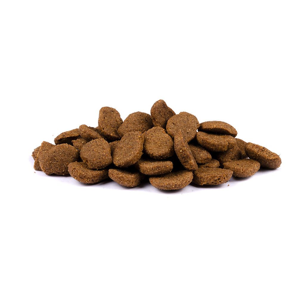 Brit Care Cat - Superfruits - Herring