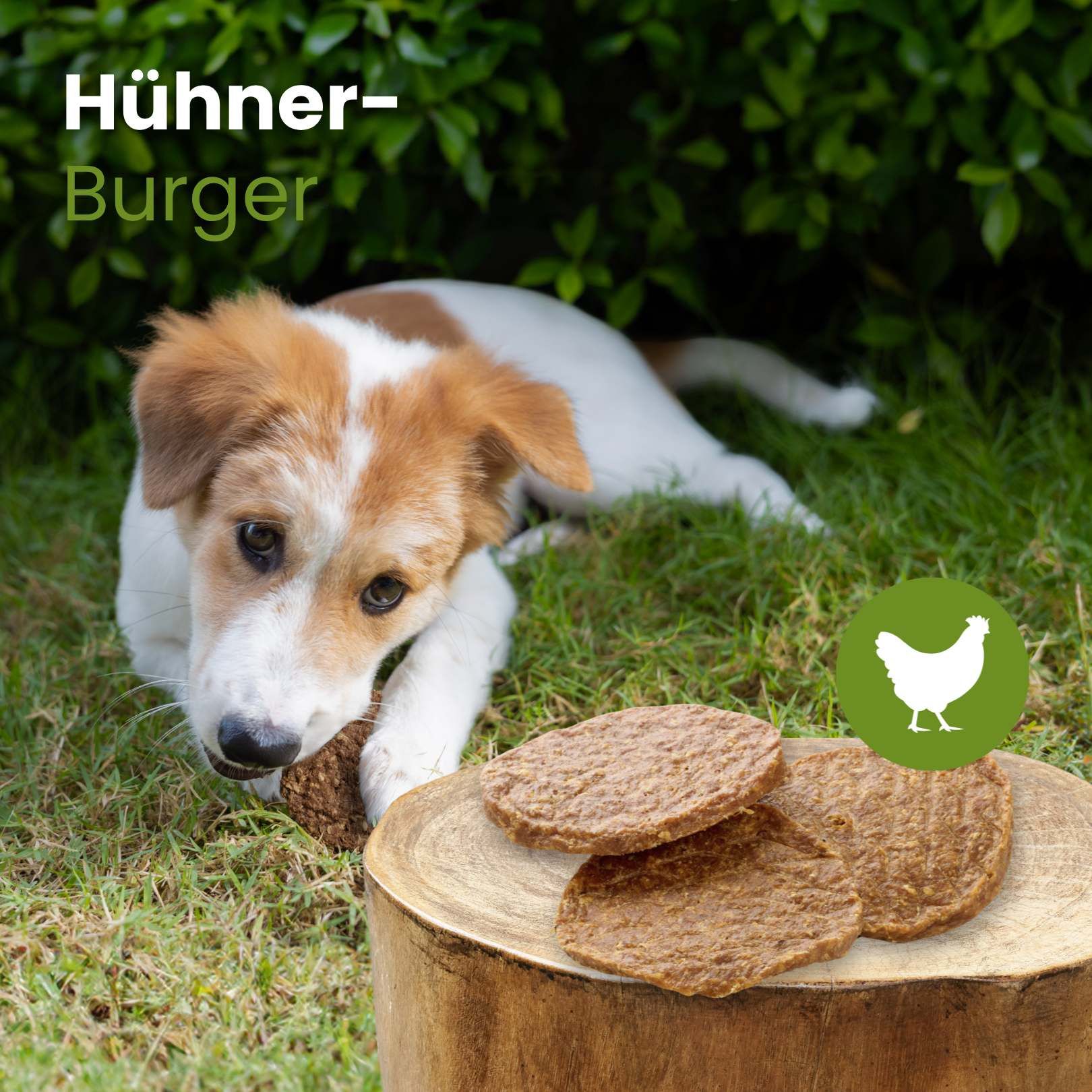 Drei Hühner-Burger auf weißem Hintergrund.