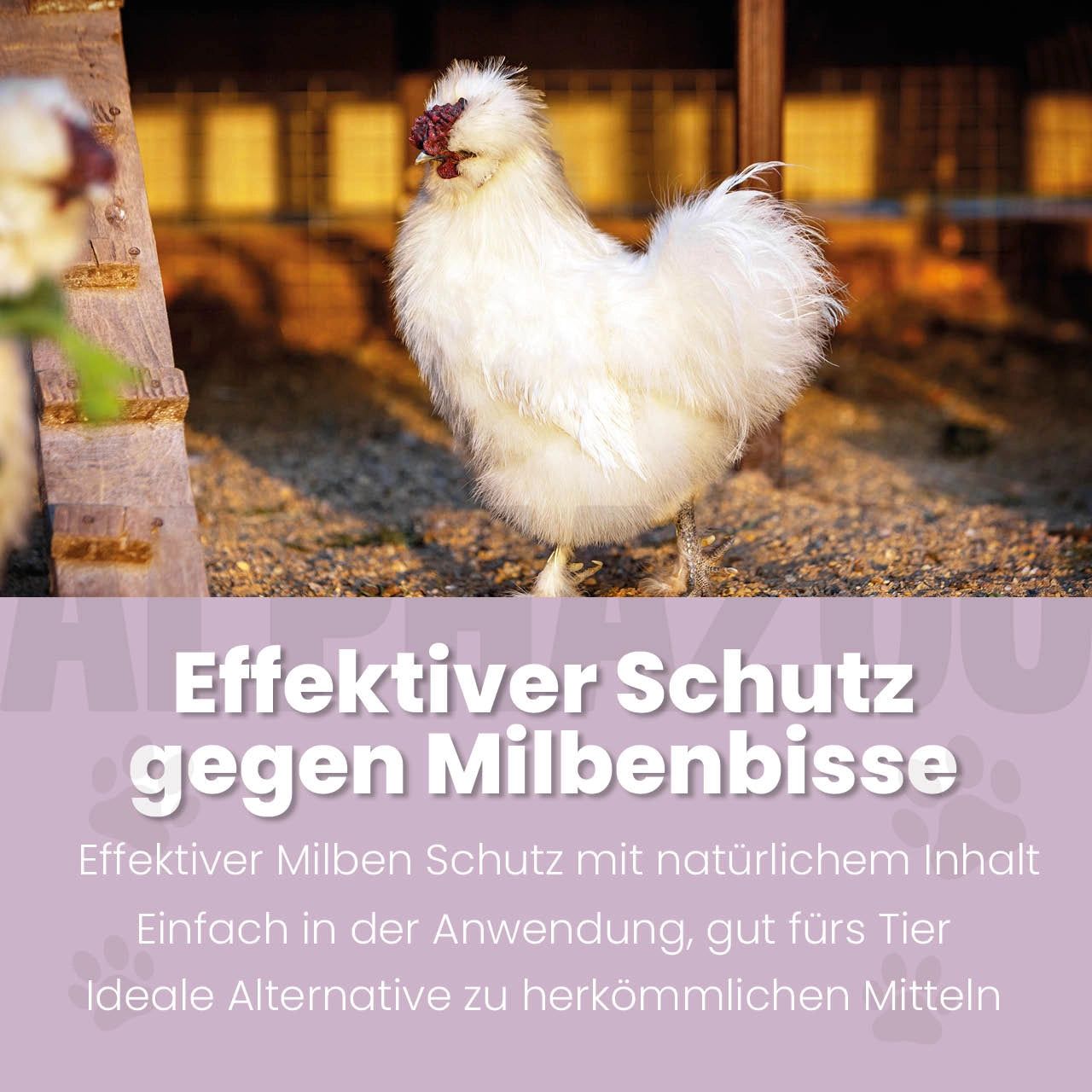 Weißes Huhn mit Federhaube steht auf dem Boden. Text: Effektiver Schutz gegen Milbenbisse. Natürliche Inhaltsstoffe, einfach in der Anwendung.