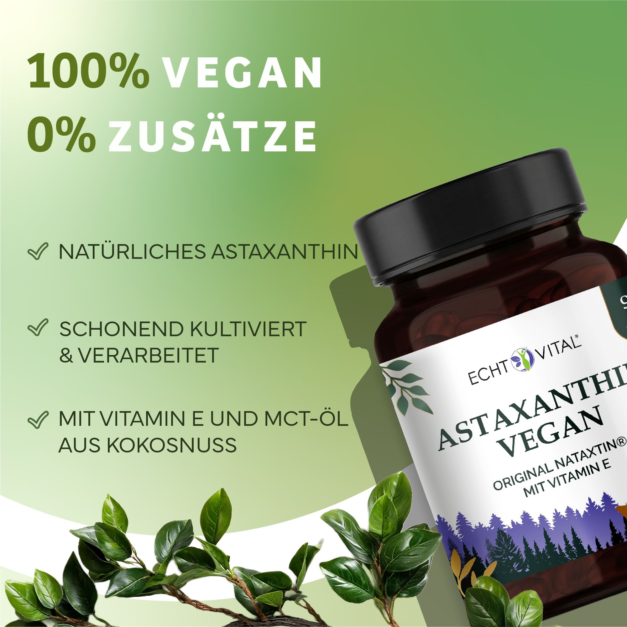 Braune Flasche mit Astaxanthin Vegan Kapseln. Aufschrift: Echt Vital, Astaxanthin Vegan, 100% Vegan, 0% Zusätze. Mit Vitamin E und MCT-Öl.