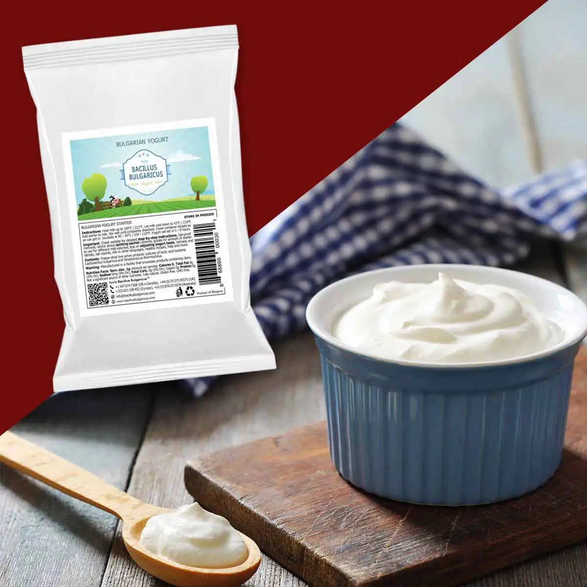 BACILLUS BULGARICUS Bulgarische Joghurt-Kulturen