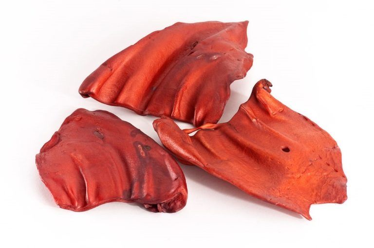mascota vital - Rinder-Knabberohren