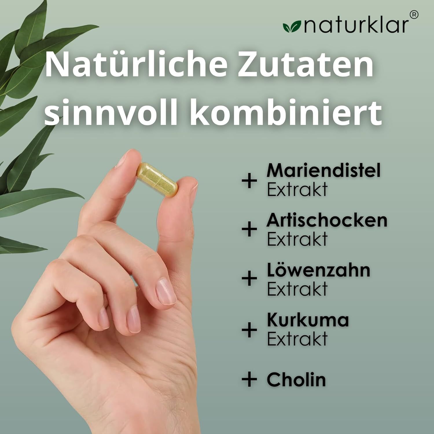Hand hält eine Kapsel. Text: "Natürliche Zutaten sinnvoll kombiniert". Zutaten: Mariendistel, Artischocke, Löwenzahn, Kurkuma, Cholin.