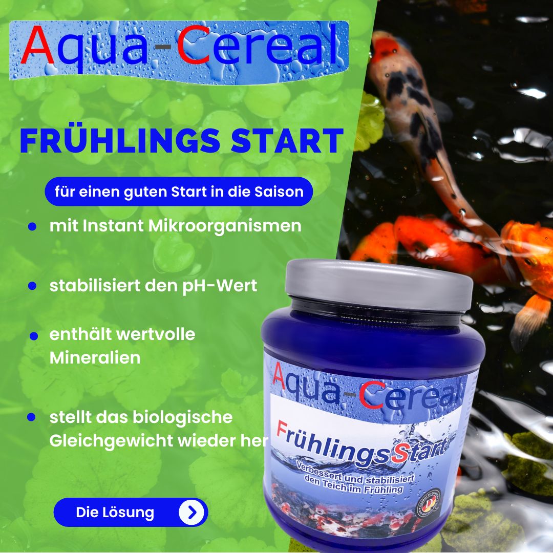 Aqua-Cereal FrühlingsStart