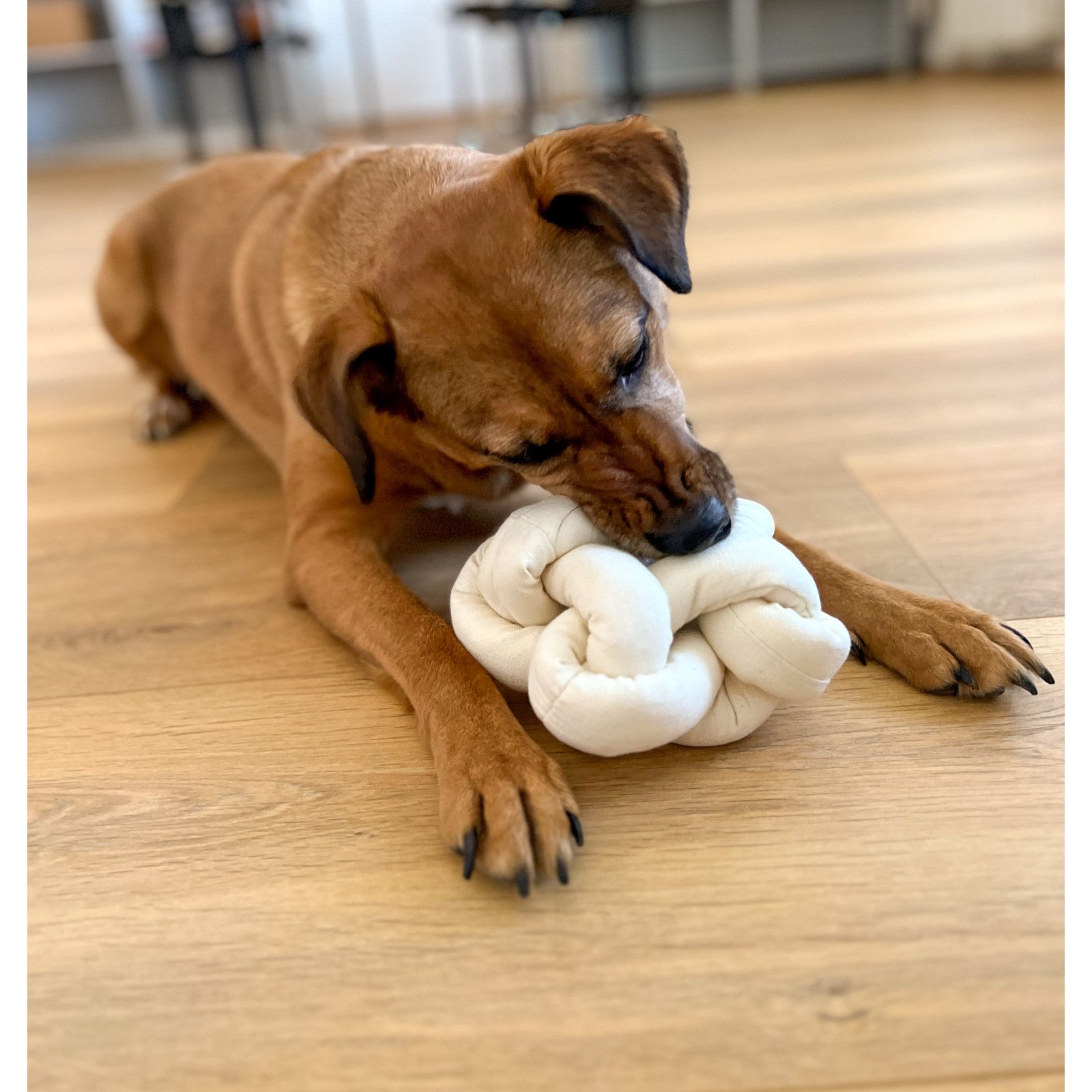 Aumüller Hundespielzeug Knotenball Canvas 1 St