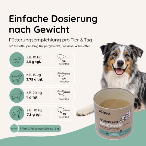 Hund (Australian Shepherd) neben Dose "Futterzusatz Bauchwohl". Dosierungsempfehlung nach Gewicht.