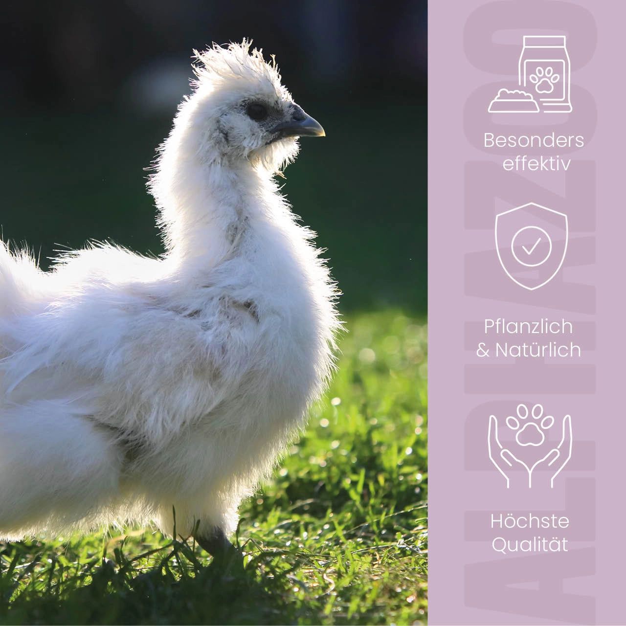 Weißes Huhn im Gras. Text: Besonders effektiv, pflanzlich & natürlich, höchste Qualität.
