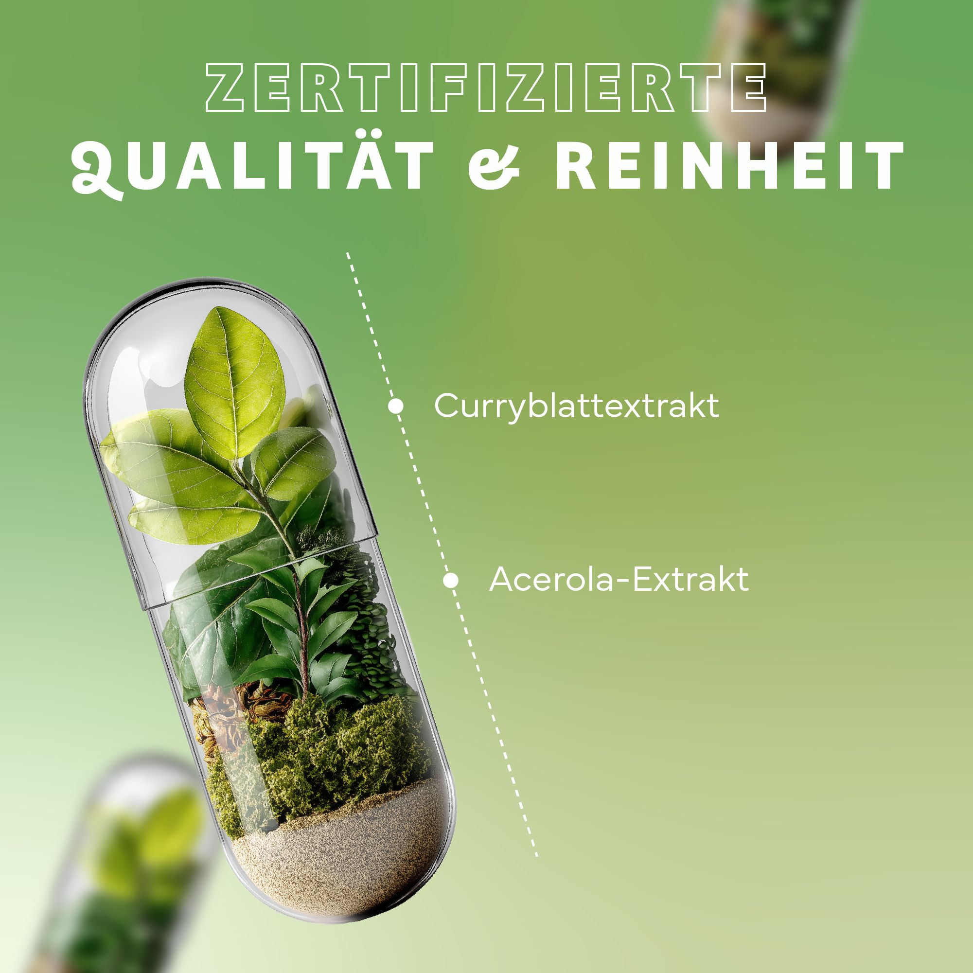 Transparente Kapsel mit Pflanzen. Text: Zertifizierte Qualität & Reinheit. Curryblatt-Extrakt, Acerola-Extrakt. Hintergrund grün.
