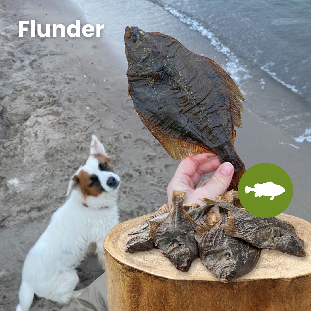 Getrocknete Flunder als Hundeleckerli, 20-30 cm lang.