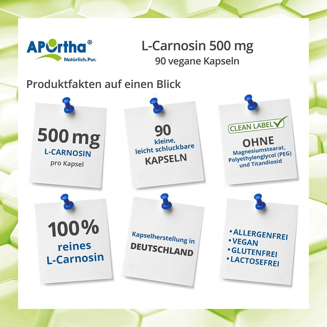 Infografik mit Produktfakten: 500 mg L-Carnosin, 90 Kapseln, ohne Magnesiumstearat, PEG und Titandioxid, 100% reines L-Carnosin.