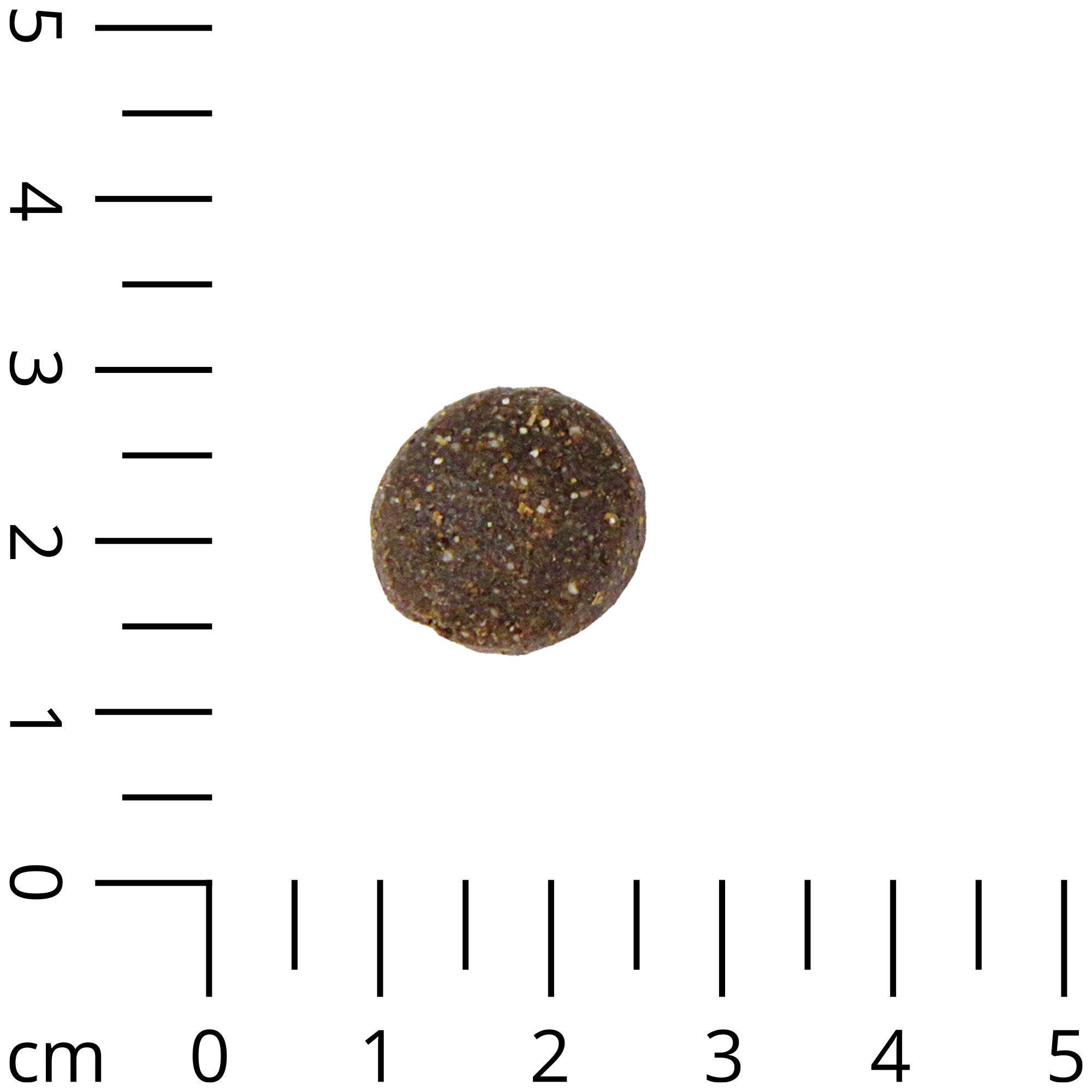 Einzelnes, rundes Trockenfutter-Pellet. Dunkelbraun mit sichtbaren Körnern. Auf kariertem Hintergrund mit cm-Skala.