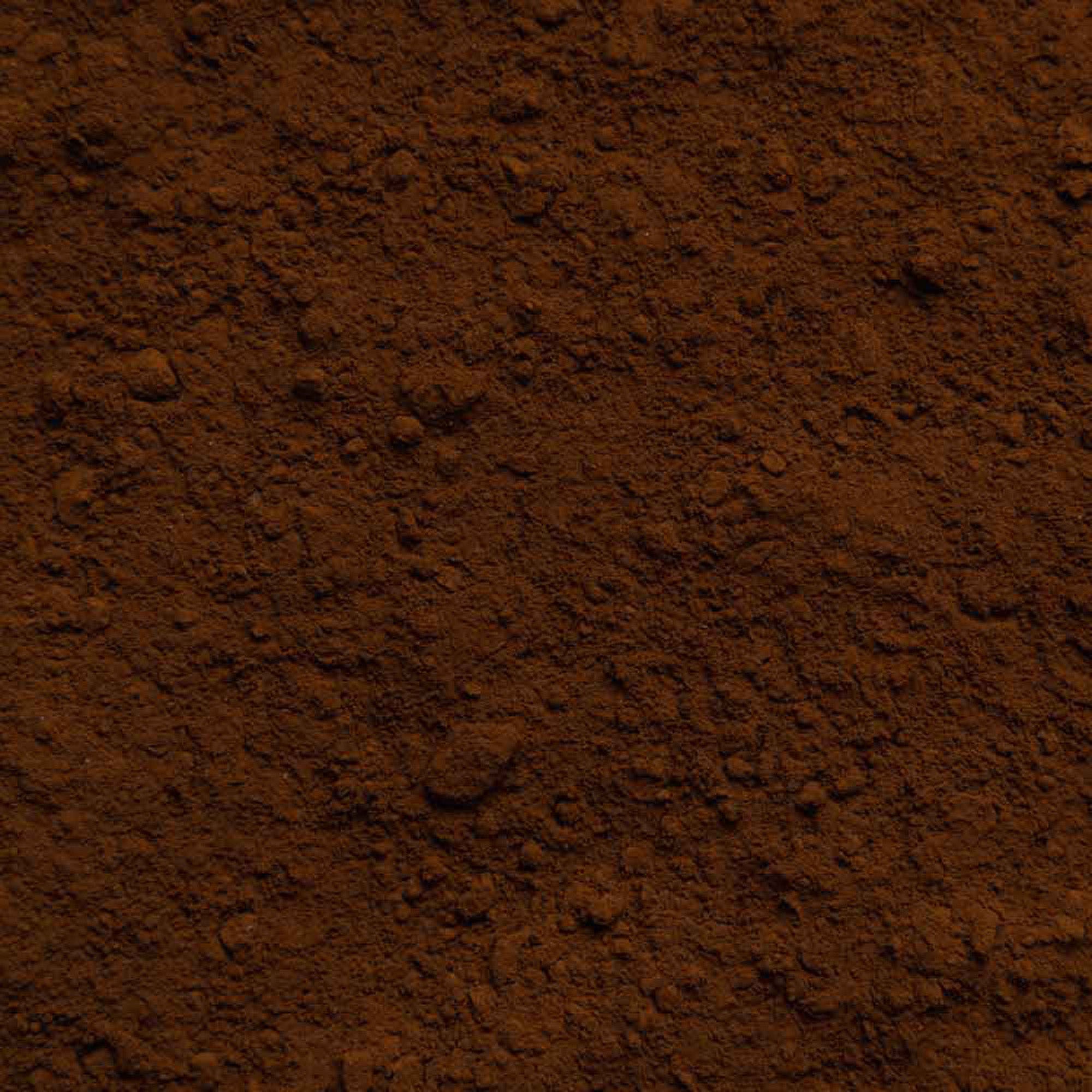 Biotiva Chaga Pilz Pulver Bio