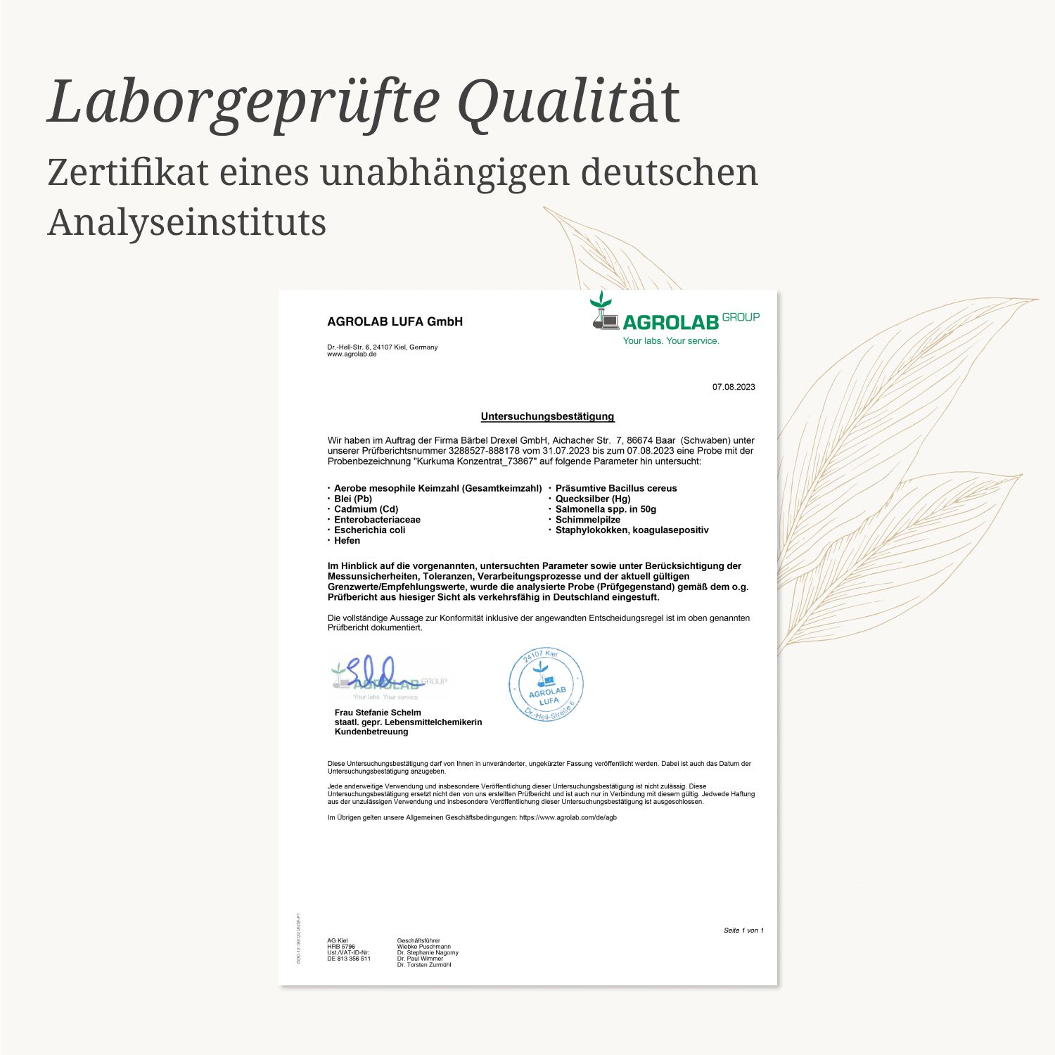 Bärbel Drexel Kurkuma Konzentrat
