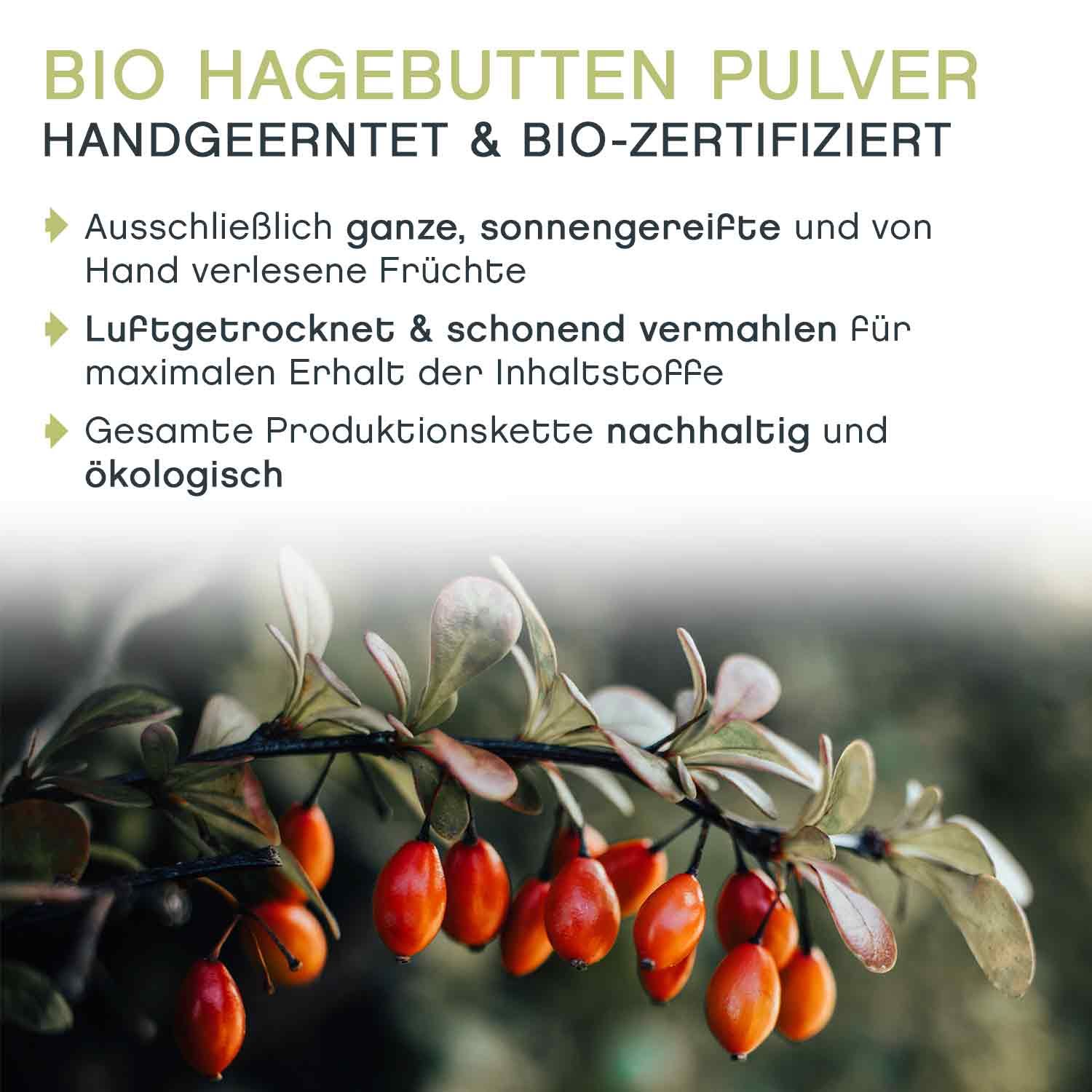 tea exclusive - Hagebutten Pulver bio