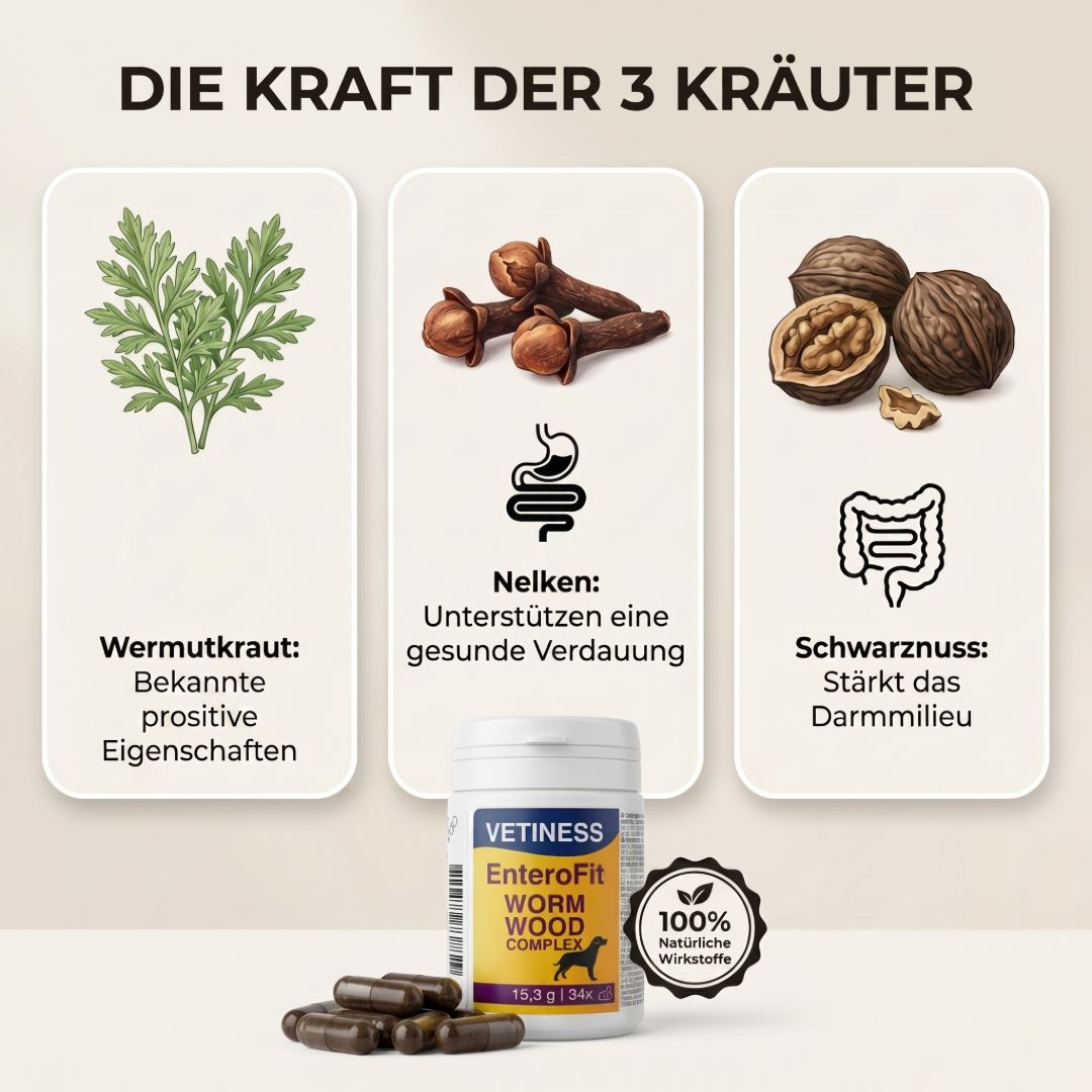 Grafik mit Kräutern, Nelken, Walnüssen und Produkt. Text: Die Kraft der 3 Kräuter. Wermutkraut, Nelken, Schwarznuss. 100% natürliche Wirkstoffe.