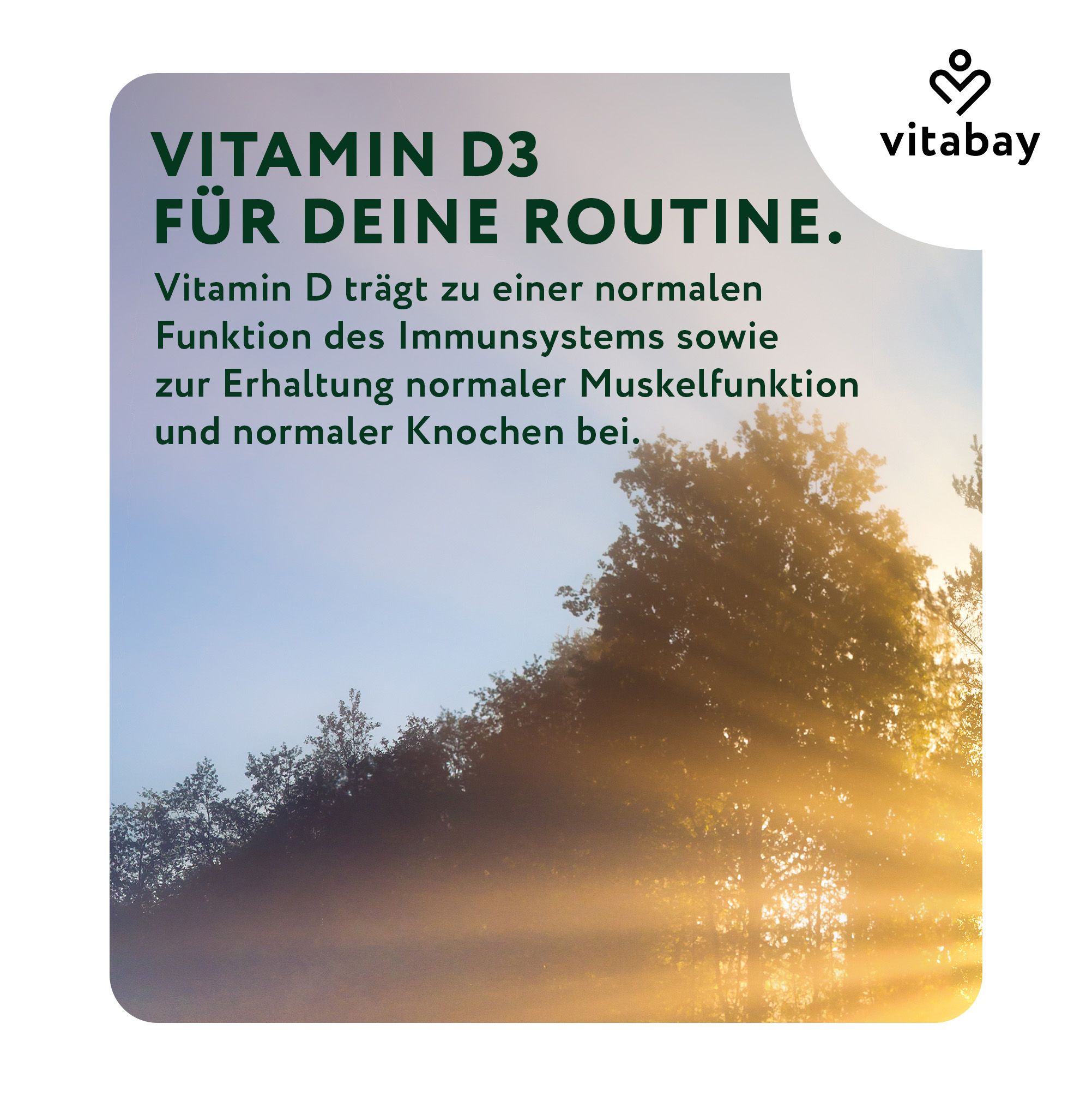 Vitabay Vitamin D3 für Ihre Routine. Unterstützt Immunsystem, Muskelfunktion und Knochen.