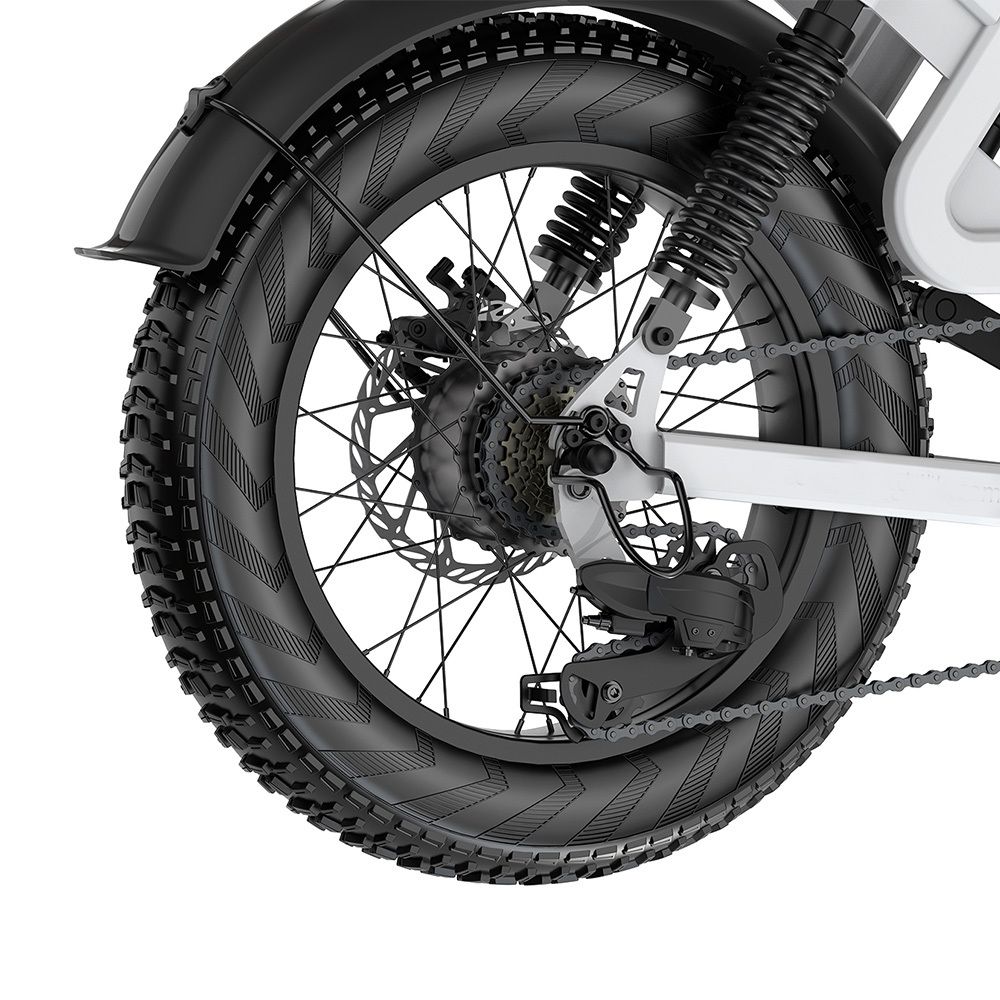 G-FORCE RS ST 20-Zoll-All-Terrain-E-Bike, 48V 20Ah Akku