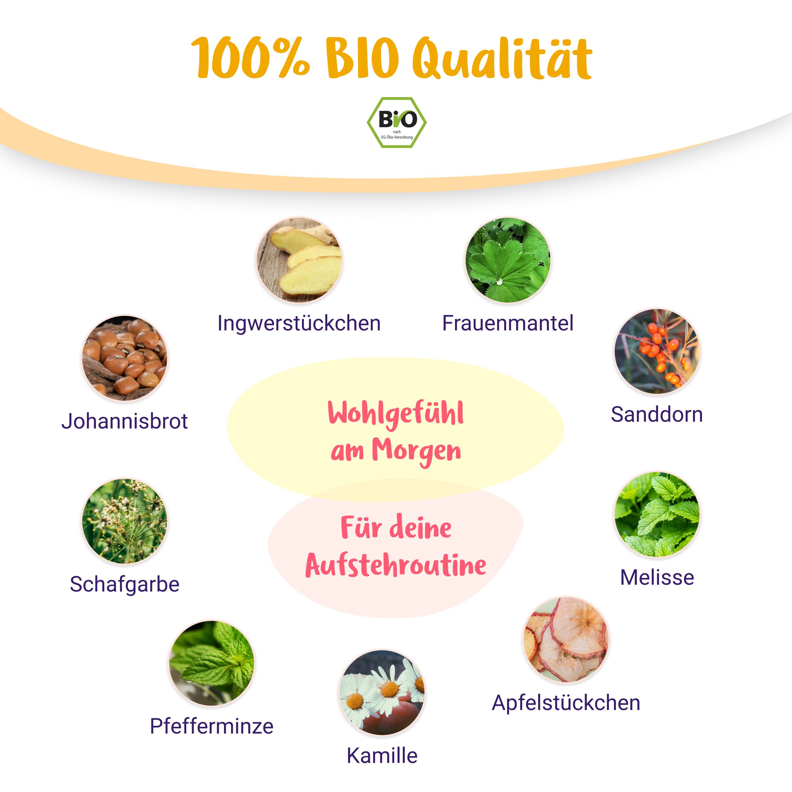 BIO Kräutertee Guten Morgen Mami: Ingwer, Frauenmantel, Sanddorn, Melisse, Kamille.