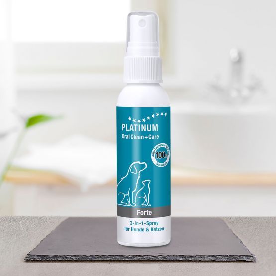 Platinum - Oral Clean + Care Spray Forte 65 ml Lösung