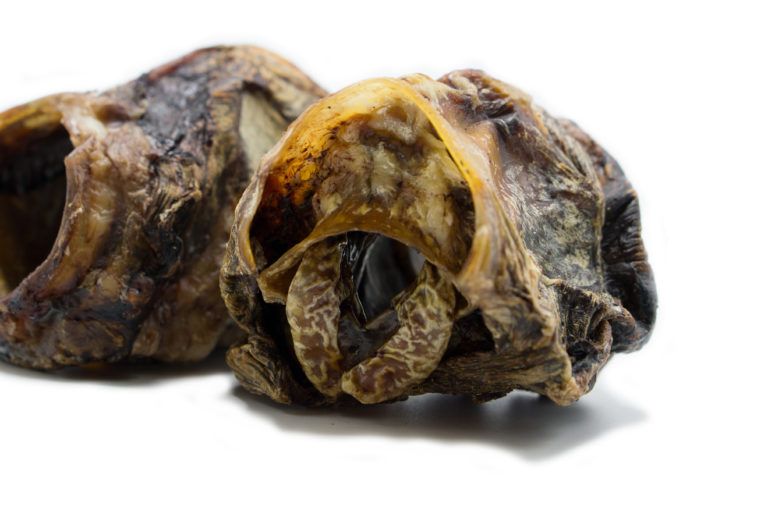 mascota vital - Rinder-Kehlkopf