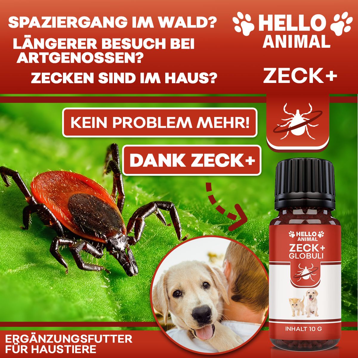 Produktflasche neben Bildern. Bilder zeigen Zecke, Hund, Text: Kein Problem mehr! Dank Zeck+. Ergänzungsfutter für Haustiere.