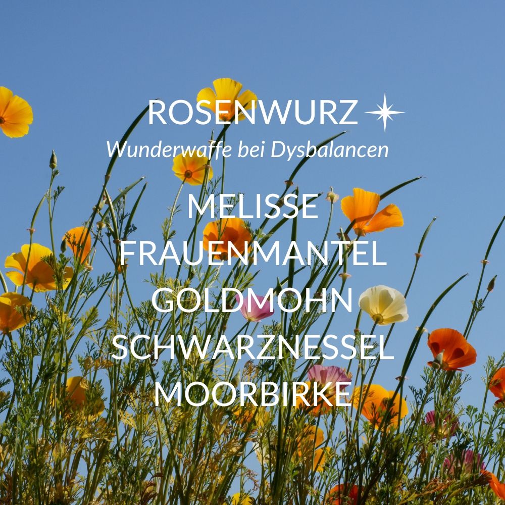 Blumenwiese mit gelben und orangen Blüten. Text: ROSENWURZ, MELISSE, FRAUENMANTEL, GOLDMOHN, SCHWARZNESSEL, MOORBIRKE.