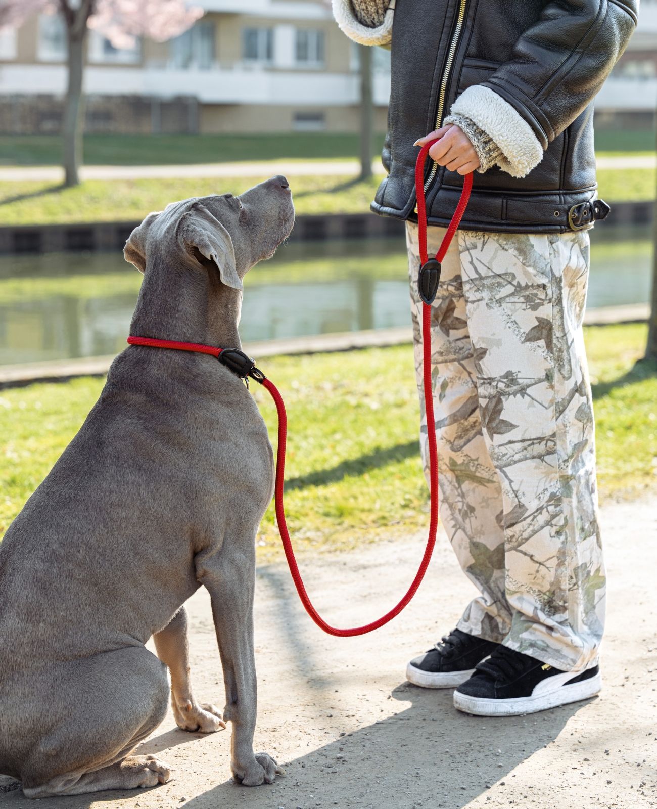 lionto Retrieverleine für Hunde - Hundeleine