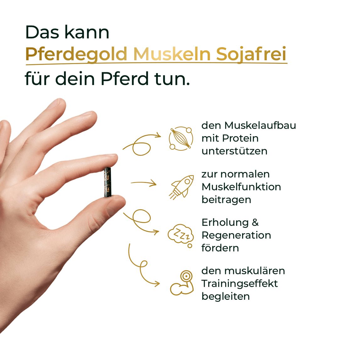 Pferdegold Muskeln sojafrei