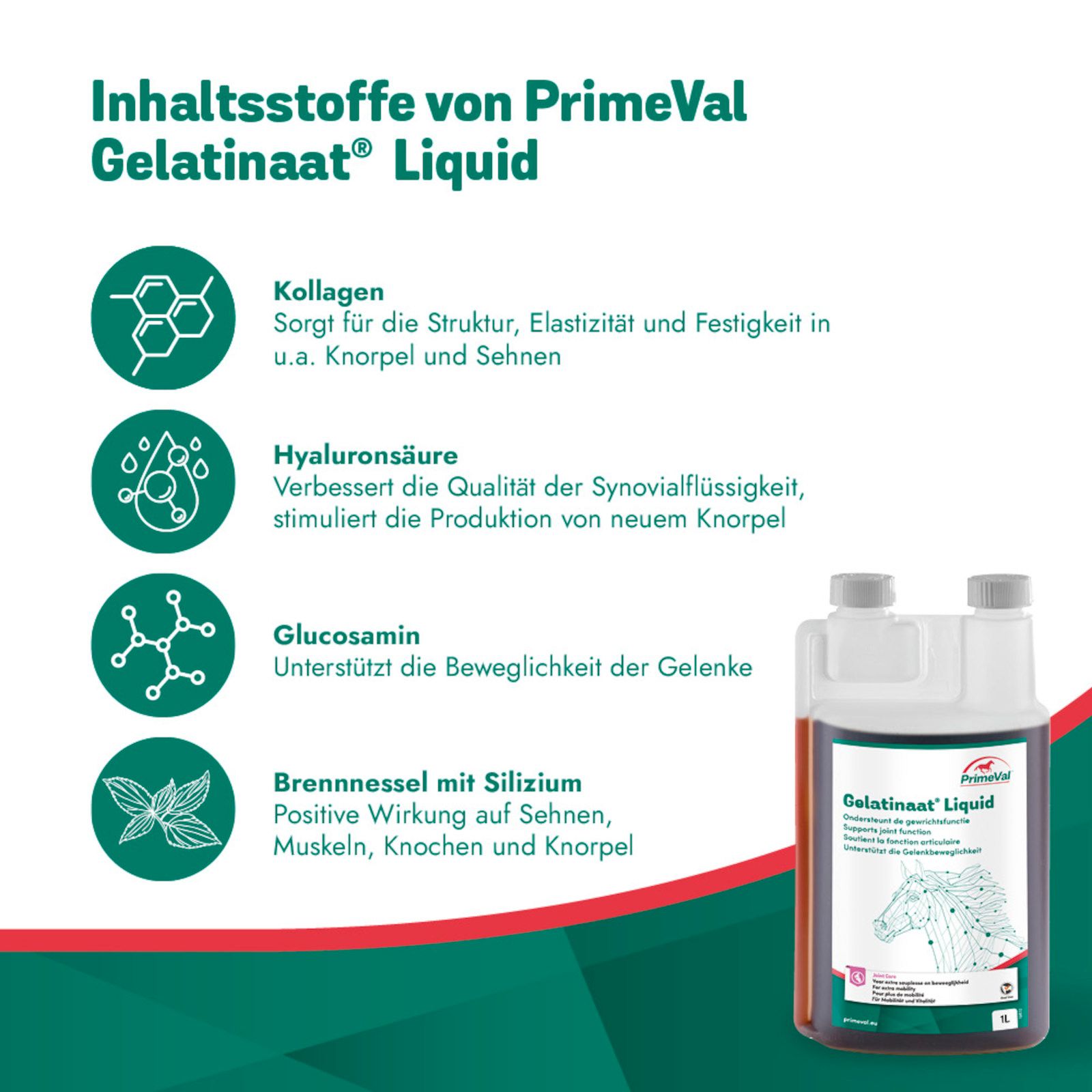 PrimeVal Gelatinaat Liquid für Pferde - Unterstützt Gelenkbeweglichkeit und Knorpelaufbau 1 l