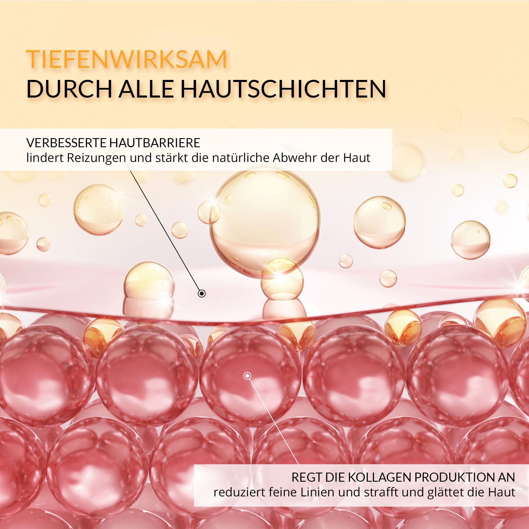 Text: Tiefenwirksam durch alle Hautschichten. Diagramm mit Hautschichten. Text: Regt die Kollagenproduktion an.