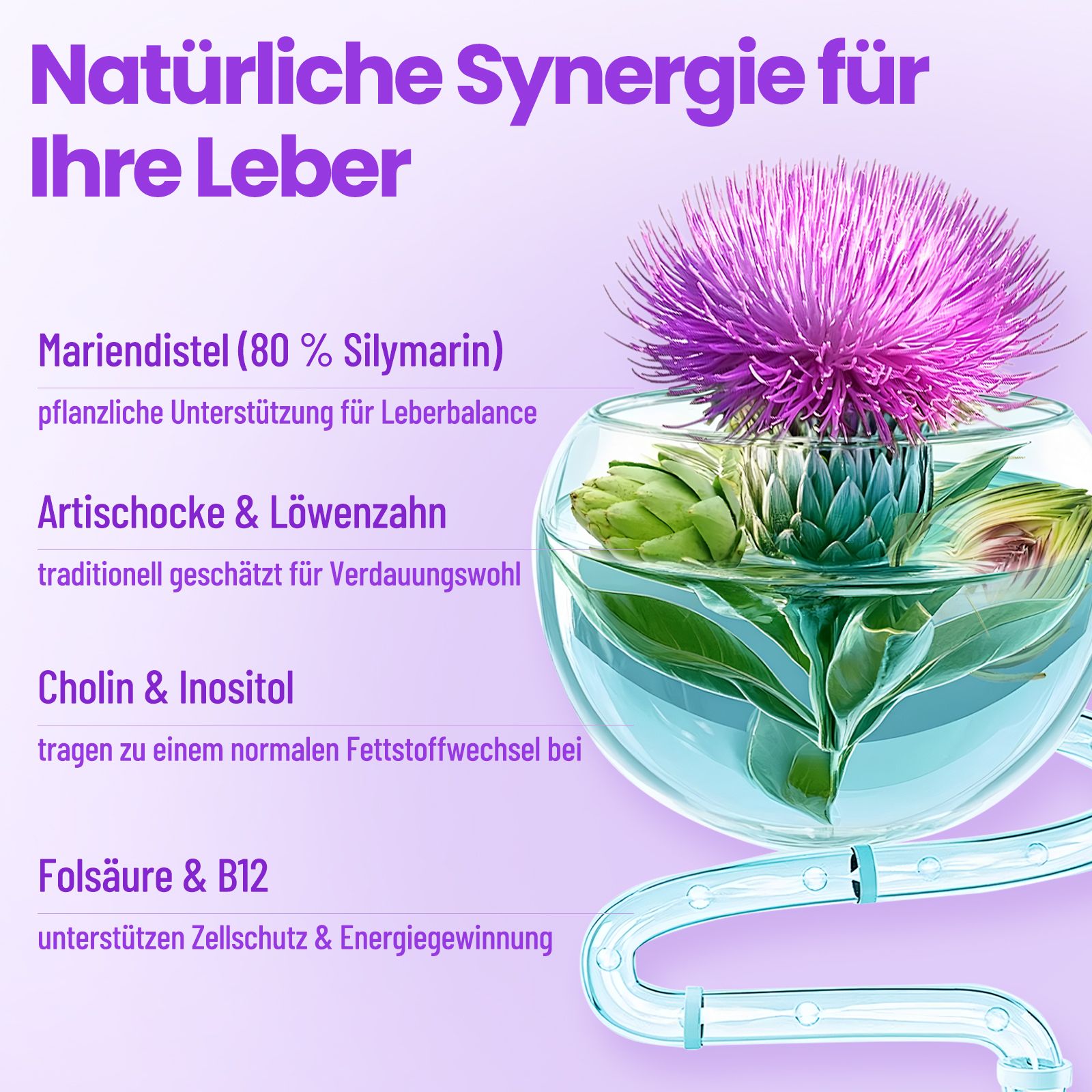 Mariendistel, Artischocke, Löwenzahn, Cholin, Inositol, Folsäure & B12 für die Leber.
