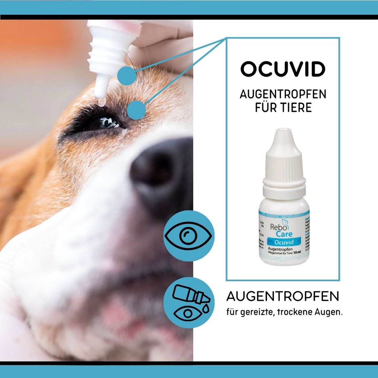 reboVet ReboCare Ocuvid Augentropfen