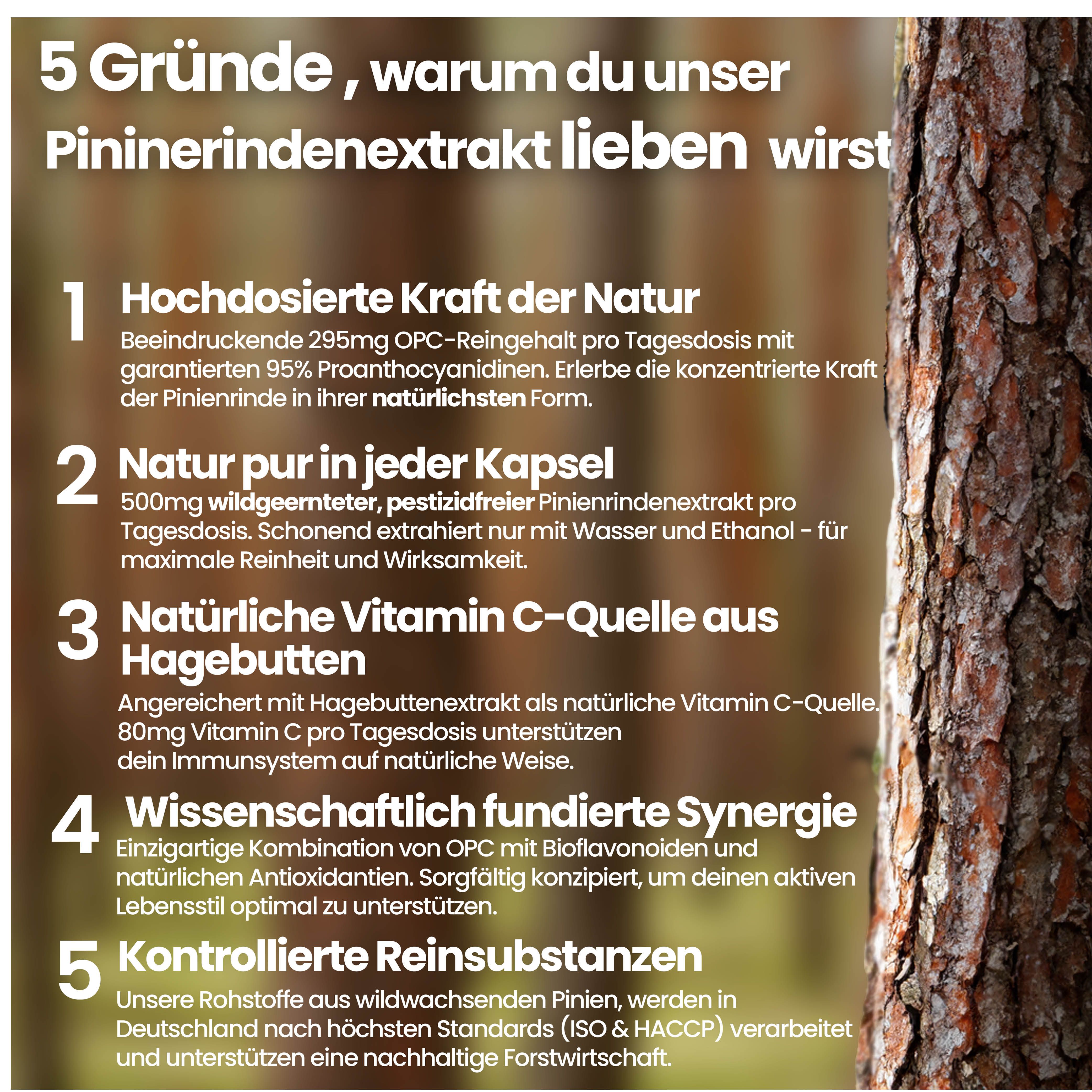 Pinienrindenextrakt 95% OPC + Vitamin C aus Hagebutte
